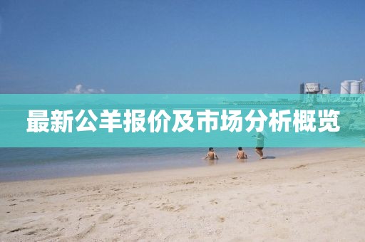 最新公羊報(bào)價(jià)及市場(chǎng)分析概覽