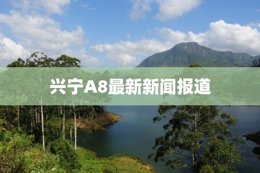 興寧A8最新新聞報道