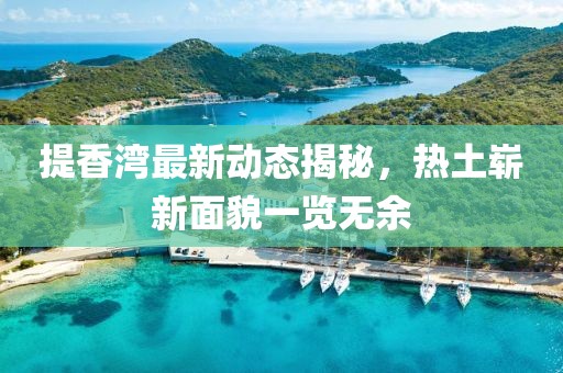 提香灣最新動態(tài)揭秘，熱土嶄新面貌一覽無余