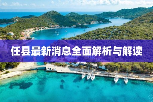 任縣最新消息全面解析與解讀