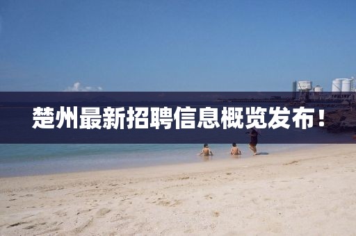 楚州最新招聘信息概覽發(fā)布！