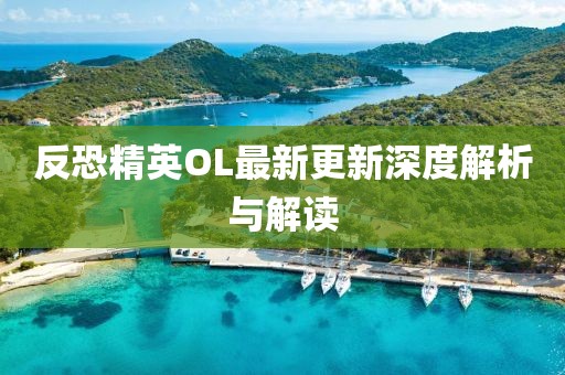 反恐精英OL最新更新深度解析與解讀