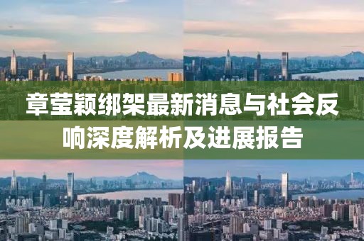 章瑩穎綁架最新消息與社會(huì)反響深度解析及進(jìn)展報(bào)告