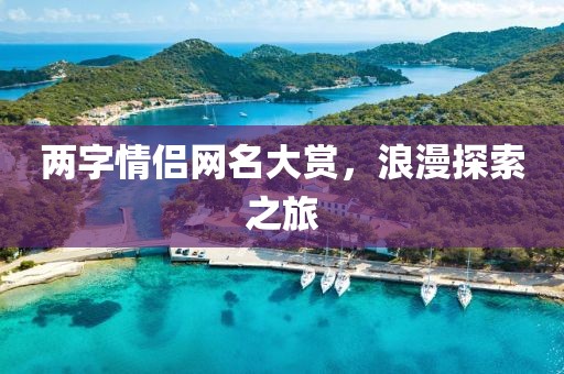 兩字情侶網(wǎng)名大賞，浪漫探索之旅