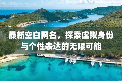 最新空白網(wǎng)名，探索虛擬身份與個(gè)性表達(dá)的無(wú)限可能
