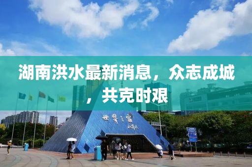 湖南洪水最新消息，眾志成城，共克時(shí)艱