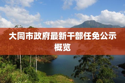 大同市政府最新干部任免公示概覽