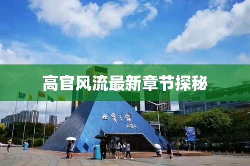 高官風(fēng)流最新章節(jié)探秘