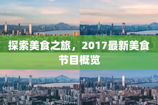 探索美食之旅，2017最新美食節(jié)目概覽