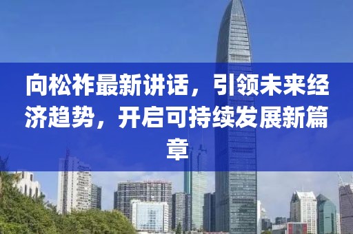向松祚最新講話，引領未來經濟趨勢，開啟可持續(xù)發(fā)展新篇章