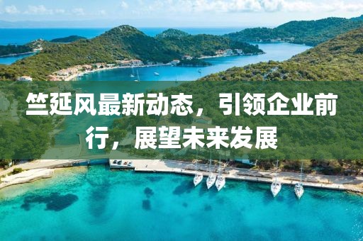 竺延風(fēng)最新動態(tài)，引領(lǐng)企業(yè)前行，展望未來發(fā)展