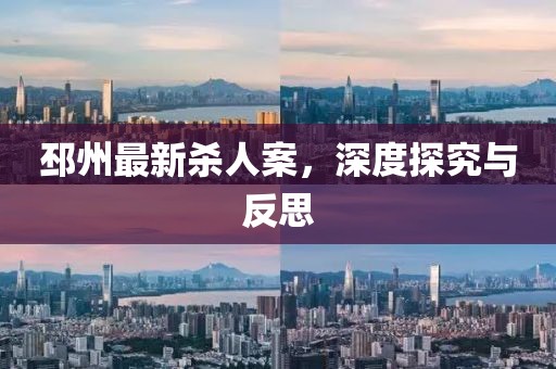 邳州最新殺人案，深度探究與反思