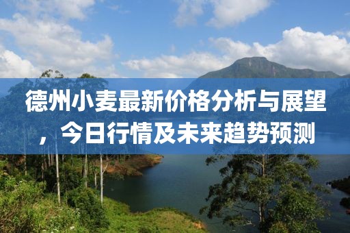德州小麥最新價格分析與展望，今日行情及未來趨勢預(yù)測