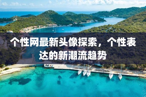 個(gè)性網(wǎng)最新頭像探索，個(gè)性表達(dá)的新潮流趨勢