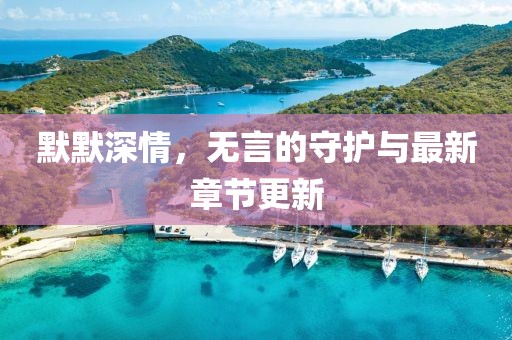 默默深情，無言的守護(hù)與最新章節(jié)更新