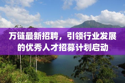 萬鏈最新招聘，引領行業(yè)發(fā)展的優(yōu)秀人才招募計劃啟動