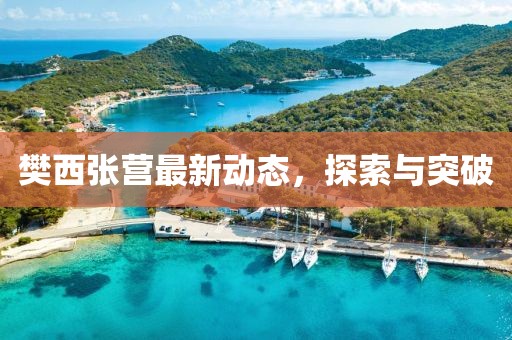 樊西張營(yíng)最新動(dòng)態(tài)，探索與突破