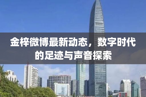 金梓微博最新動態(tài)，數(shù)字時代的足跡與聲音探索