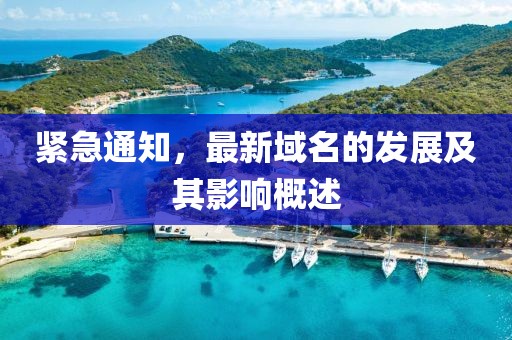 緊急通知，最新域名的發(fā)展及其影響概述
