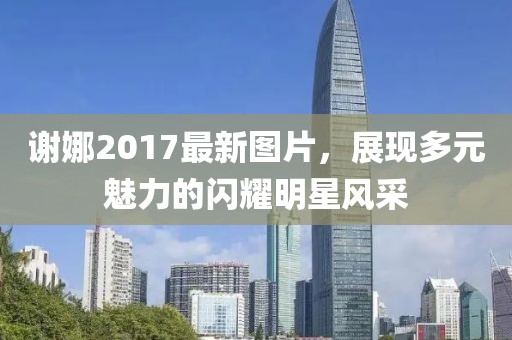 謝娜2017最新圖片，展現(xiàn)多元魅力的閃耀明星風(fēng)采