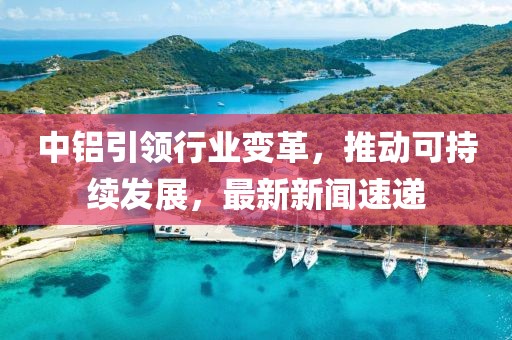 中鋁引領(lǐng)行業(yè)變革，推動(dòng)可持續(xù)發(fā)展，最新新聞速遞