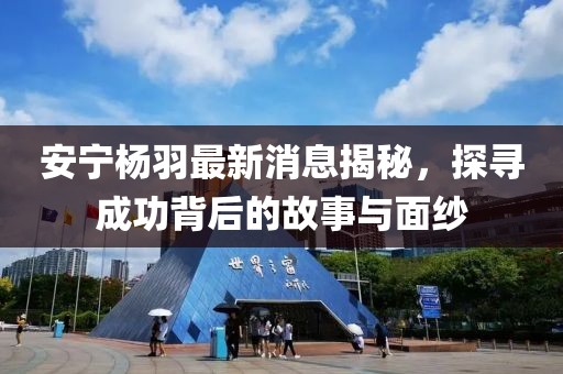 安寧楊羽最新消息揭秘，探尋成功背后的故事與面紗