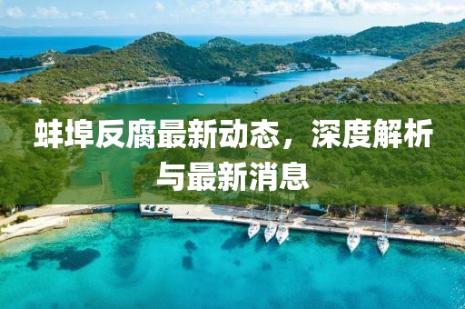 蚌埠反腐最新動(dòng)態(tài)，深度解析與最新消息