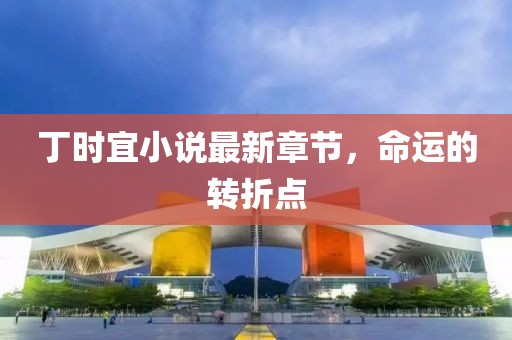 丁時(shí)宜小說最新章節(jié)，命運(yùn)的轉(zhuǎn)折點(diǎn)