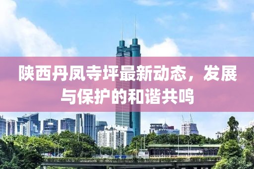 陜西丹鳳寺坪最新動(dòng)態(tài)，發(fā)展與保護(hù)的和諧共鳴