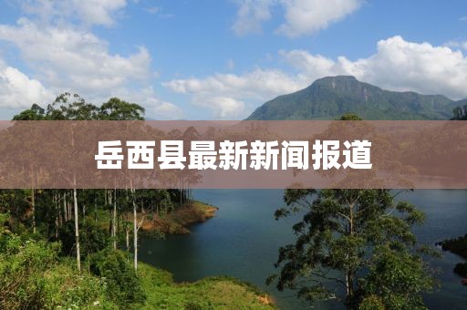 岳西縣最新新聞報(bào)道