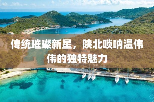 傳統(tǒng)璀璨新星，陜北嗩吶溫偉偉的獨(dú)特魅力