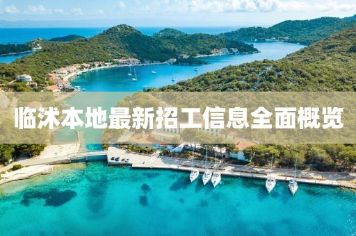 臨沭本地最新招工信息全面概覽