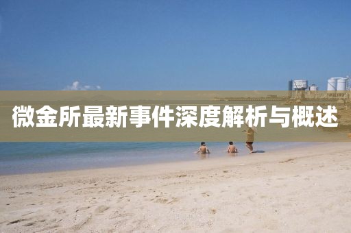 微金所最新事件深度解析與概述