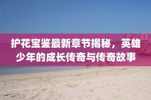 護(hù)花寶鑒最新章節(jié)揭秘，英雄少年的成長(zhǎng)傳奇與傳奇故事