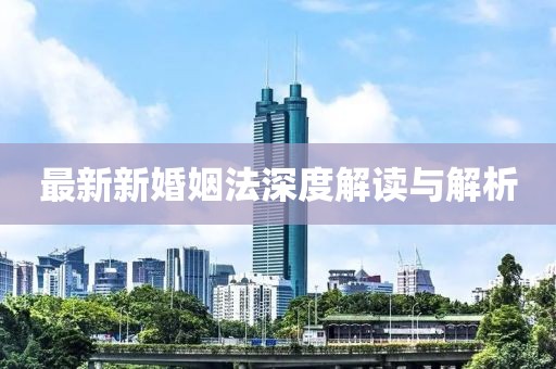 最新新婚姻法深度解讀與解析