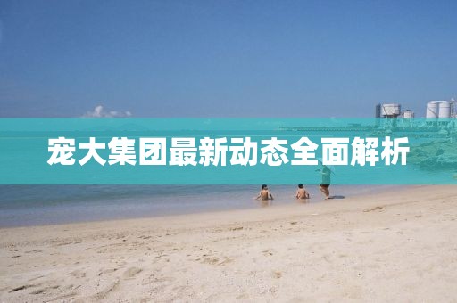 寵大集團(tuán)最新動態(tài)全面解析