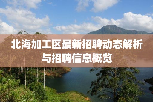 北海加工區(qū)最新招聘動態(tài)解析與招聘信息概覽