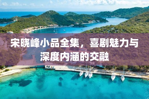 宋曉峰小品全集，喜劇魅力與深度內(nèi)涵的交融