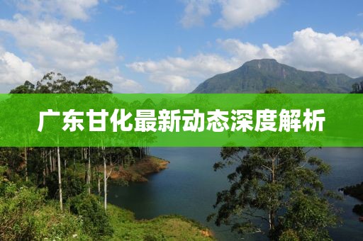 廣東甘化最新動(dòng)態(tài)深度解析