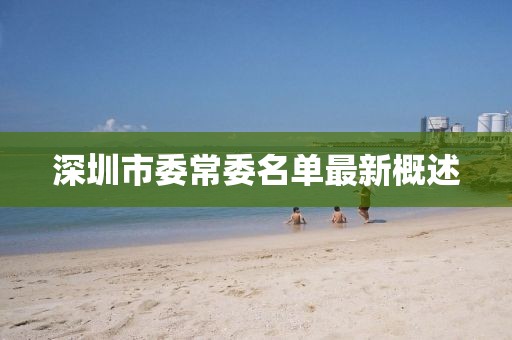 深圳市委常委名單最新概述