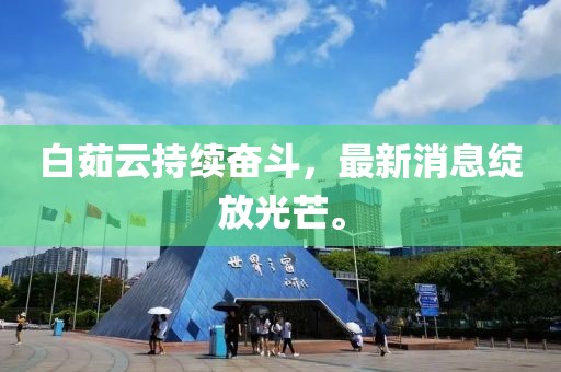 白茹云持續(xù)奮斗，最新消息綻放光芒。