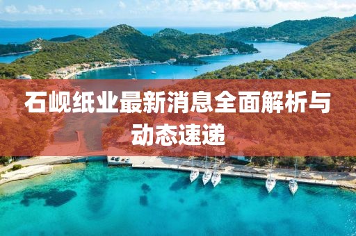 石峴紙業(yè)最新消息全面解析與動態(tài)速遞