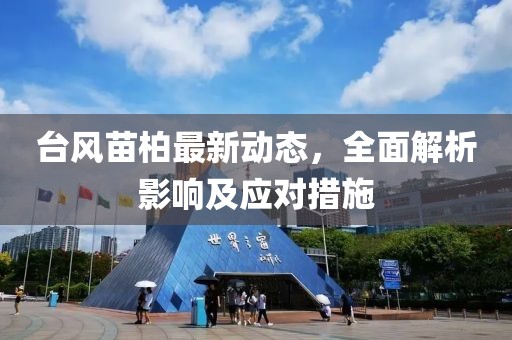 臺風(fēng)苗柏最新動態(tài)，全面解析影響及應(yīng)對措施