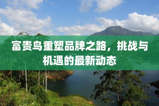 富貴鳥重塑品牌之路，挑戰(zhàn)與機遇的最新動態(tài)