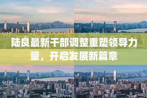 陸良最新干部調(diào)整重塑領(lǐng)導(dǎo)力量，開(kāi)啟發(fā)展新篇章