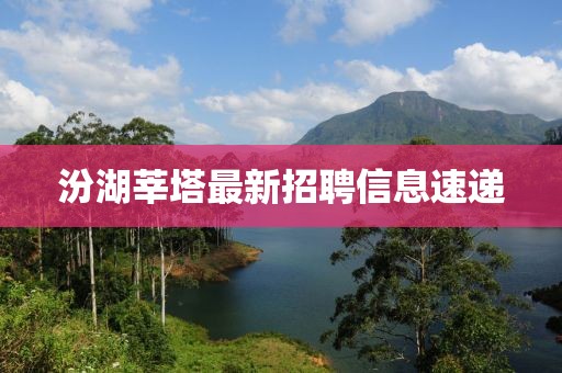 汾湖莘塔最新招聘信息速遞