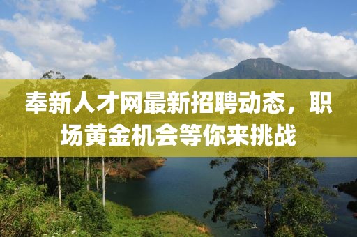 奉新人才網(wǎng)最新招聘動態(tài)，職場黃金機會等你來挑戰(zhàn)