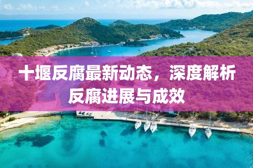 十堰反腐最新動(dòng)態(tài)，深度解析反腐進(jìn)展與成效