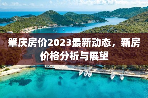 肇慶房價2023最新動態(tài)，新房價格分析與展望