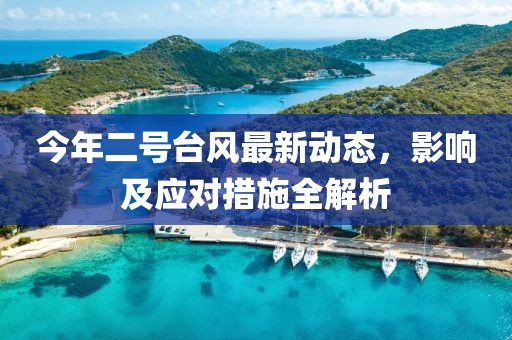 今年二號(hào)臺(tái)風(fēng)最新動(dòng)態(tài)，影響及應(yīng)對(duì)措施全解析